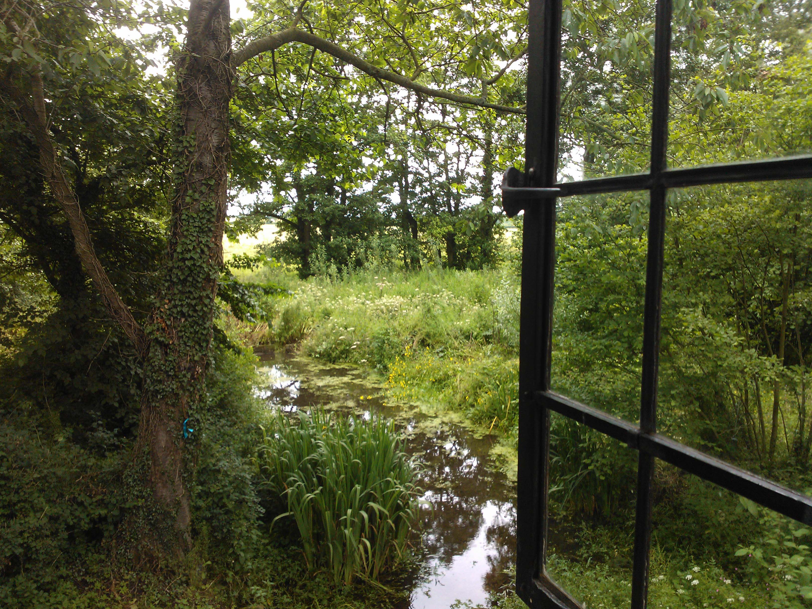 View from window at st winifreds well